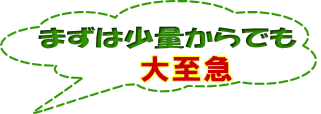 先ずは少量からでも　どうぞ