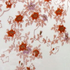 錦鉄線花絵柄